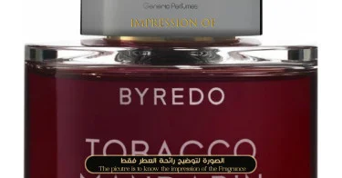 Byredo - Tobacco Mandarin Unisex - A+ Byredo Premium Perfume Oils